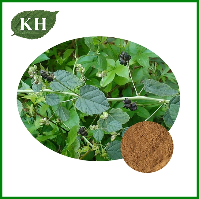 Fructus Psoraleae Extract